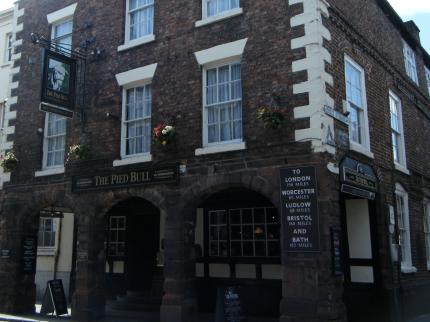 Pied Bull Chester