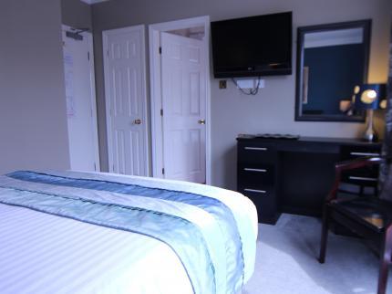 Dolphin Rooms